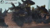 G0030_01