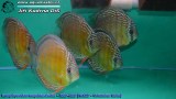 G0087_01