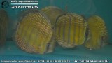 G0088_01