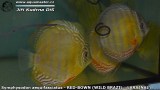G0120_01