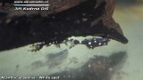 G0146_01