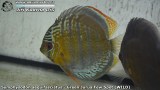 G0253_01