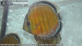 G0257_01