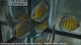 G0259_01