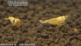 G0347_01