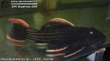G0369_01