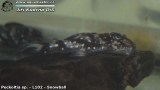 G0372_01
