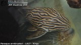 G0384_01