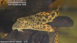 G0393_01