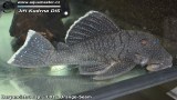 G0394_01