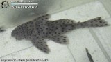 G0404_01