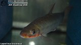 G0405_01