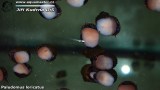 G0422_01