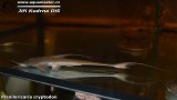 G0448_01