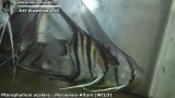 G0480_01