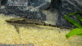 G0491_01