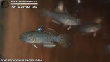 G0492_01