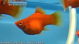 G0526_01