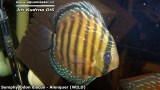 G0536_01