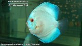 G0538_01