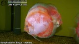 G0557_01