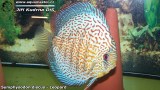 G0560_01