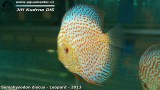 G0563_01