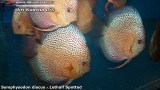 G0564_01