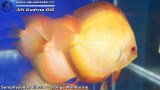 G0572_01