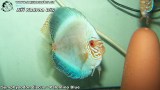 G0575_01