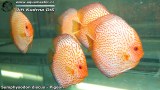G0576_01