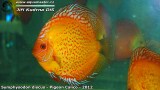 G0578_01