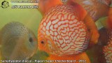 G0588_01