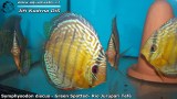 G0616_01