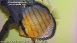 G0617_01