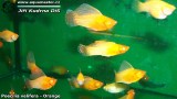 G0643_01