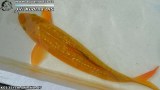 G0722_01