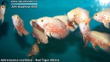 G0752_01
