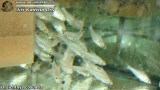 G0794_01
