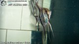 G0841_01