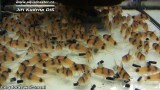 G0854_01