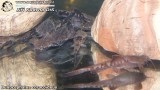 G0858_01