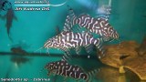 G0874_01